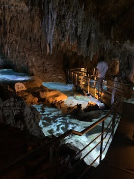 おきなわワールドに投稿された画像（2022/11/21）