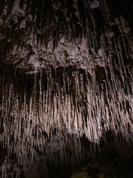 おきなわワールドに投稿された画像（2022/11/21）