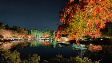 国営昭和記念公園 秋の夜散歩に投稿された画像（2022/11/21）