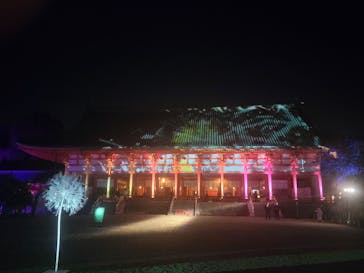 NAKED FLOWERS 2022 秋 世界遺産・二条城に投稿された画像（2022/11/21）