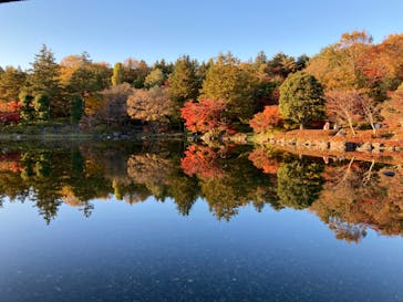 国営昭和記念公園 秋の夜散歩に投稿された画像（2022/11/21）