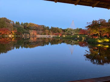 国営昭和記念公園 秋の夜散歩に投稿された画像（2022/11/21）