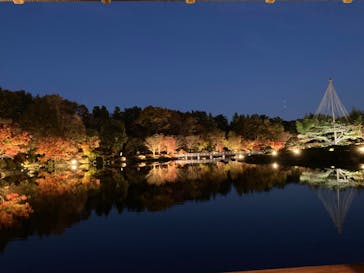 国営昭和記念公園 秋の夜散歩に投稿された画像（2022/11/21）