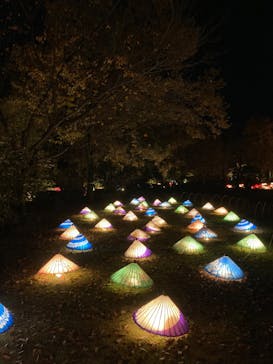 国営昭和記念公園 秋の夜散歩に投稿された画像（2022/11/21）