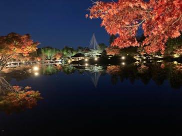 国営昭和記念公園 秋の夜散歩に投稿された画像（2022/11/21）