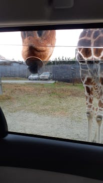 那須サファリパークに投稿された画像（2022/11/21）