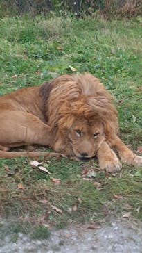 那須サファリパークに投稿された画像（2022/11/21）