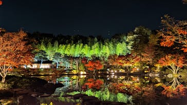 国営昭和記念公園 秋の夜散歩に投稿された画像（2022/11/21）