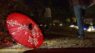 国営昭和記念公園 秋の夜散歩に投稿された画像（2022/11/21）