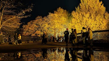 国営昭和記念公園 秋の夜散歩に投稿された画像（2022/11/21）