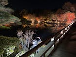 国営昭和記念公園 秋の夜散歩に投稿された画像（2022/11/21）