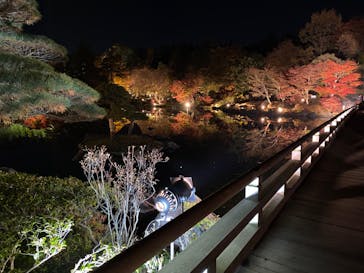 国営昭和記念公園 秋の夜散歩に投稿された画像（2022/11/21）