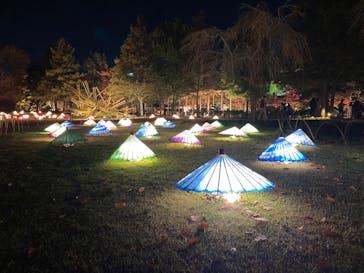 国営昭和記念公園 秋の夜散歩に投稿された画像（2022/11/21）