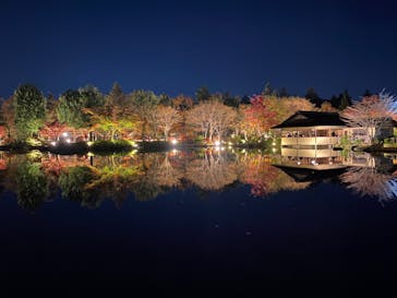 国営昭和記念公園 秋の夜散歩に投稿された画像（2022/11/21）