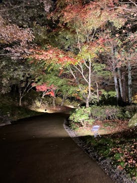 国営昭和記念公園 秋の夜散歩に投稿された画像（2022/11/21）