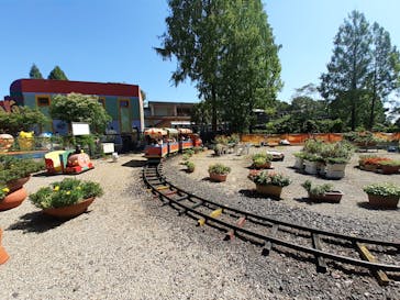 日本モンキーパークに投稿された画像（2022/11/21）