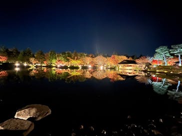 国営昭和記念公園 秋の夜散歩に投稿された画像（2022/11/21）