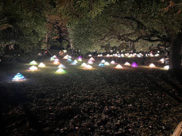 国営昭和記念公園 秋の夜散歩に投稿された画像（2022/11/21）