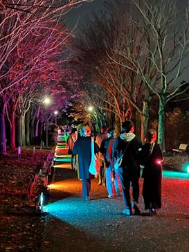 国営昭和記念公園 秋の夜散歩に投稿された画像（2022/11/21）