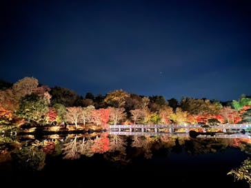 国営昭和記念公園 秋の夜散歩に投稿された画像（2022/11/21）