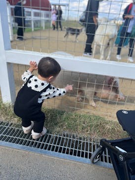 ワールド牧場に投稿された画像（2022/11/21）