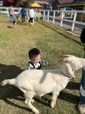 ワールド牧場に投稿された画像（2022/11/21）