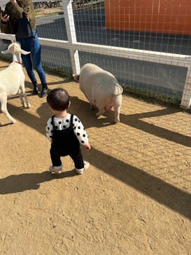 ワールド牧場に投稿された画像（2022/11/21）