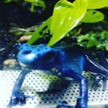 カワスイ 川崎⽔族館に投稿された画像（2022/11/21）