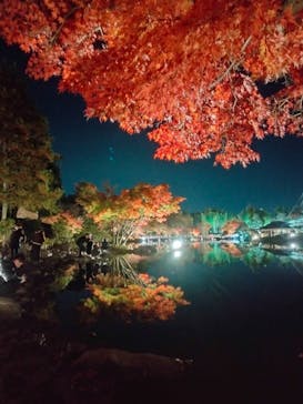国営昭和記念公園 秋の夜散歩に投稿された画像（2022/11/21）