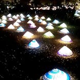 国営昭和記念公園 秋の夜散歩に投稿された画像（2022/11/22）