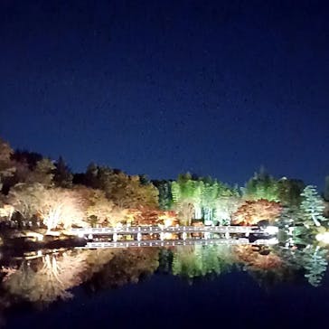 国営昭和記念公園 秋の夜散歩に投稿された画像（2022/11/21）