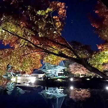 国営昭和記念公園 秋の夜散歩に投稿された画像（2022/11/21）