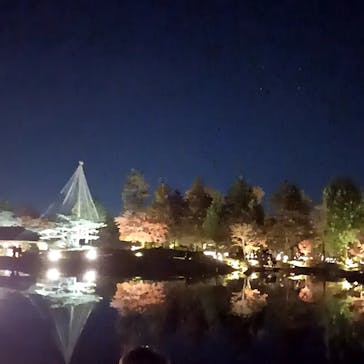 国営昭和記念公園 秋の夜散歩に投稿された画像（2022/11/21）