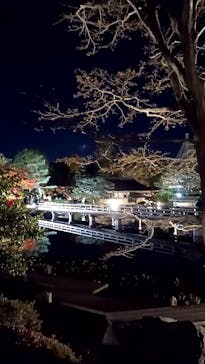 国営昭和記念公園 秋の夜散歩に投稿された画像（2022/11/21）