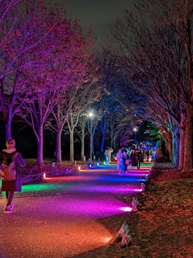 国営昭和記念公園 秋の夜散歩に投稿された画像（2022/11/21）