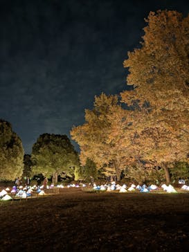 国営昭和記念公園 秋の夜散歩に投稿された画像（2022/11/21）