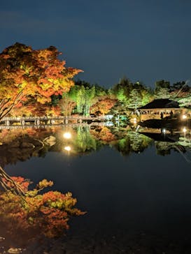 国営昭和記念公園 秋の夜散歩に投稿された画像（2022/11/21）