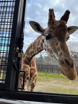 那須サファリパークに投稿された画像（2022/11/21）