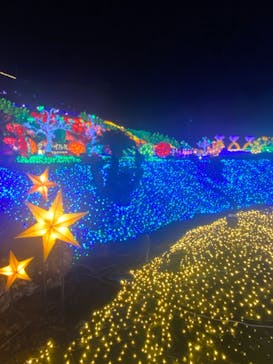 伊豆ぐらんぱる公園に投稿された画像（2022/11/21）