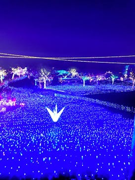 伊豆ぐらんぱる公園に投稿された画像（2022/11/21）