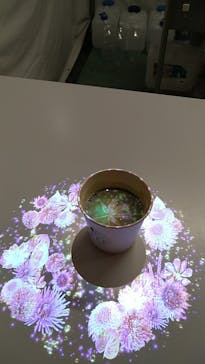 NAKED FLOWERS 2022 秋 世界遺産・二条城に投稿された画像（2022/11/21）