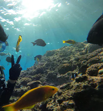 武藤潜水に投稿された画像（2022/11/22）