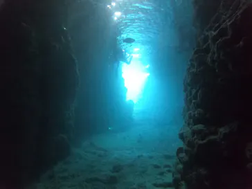 武藤潜水に投稿された画像（2022/11/22）