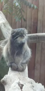 神戸どうぶつ王国に投稿された画像（2022/11/22）