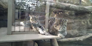 神戸どうぶつ王国に投稿された画像（2022/11/22）