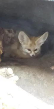 神戸どうぶつ王国に投稿された画像（2022/11/22）