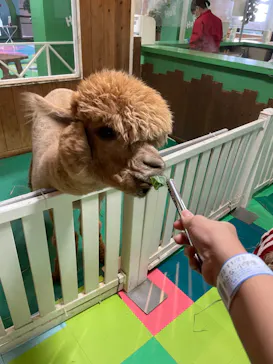 ひらかたパークに投稿された画像（2022/11/22）