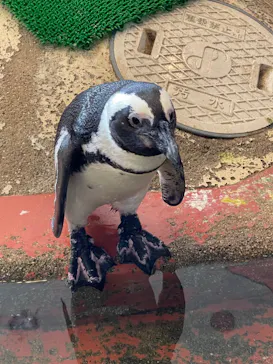 ひらかたパークに投稿された画像（2022/11/22）