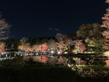 国営昭和記念公園 秋の夜散歩に投稿された画像（2022/11/22）