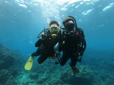 武藤潜水に投稿された画像（2022/11/22）